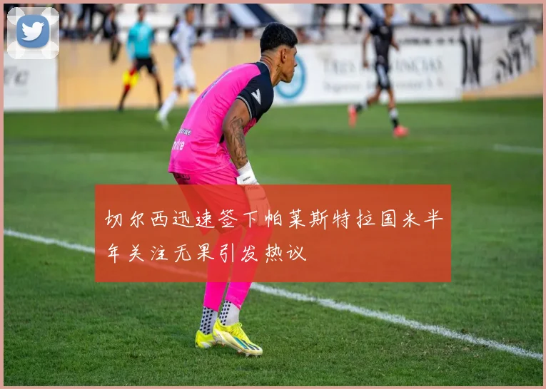 切尔西迅速签下帕莱斯特拉国米半年关注无果引发热议